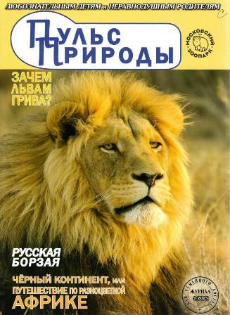 ДУМАЙ